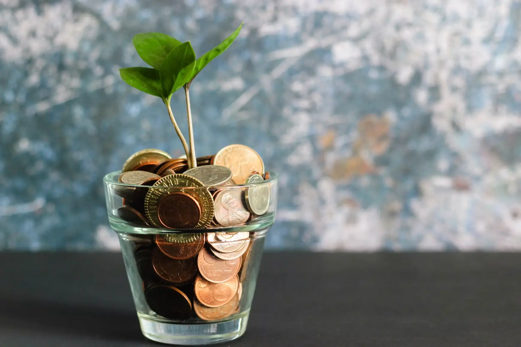 Mutual Fund Investments
